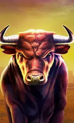 Black Bull
